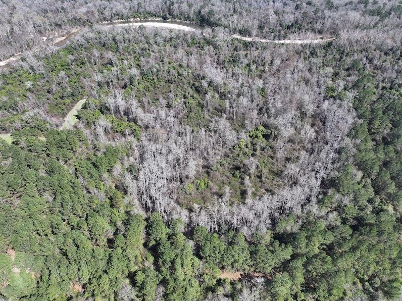 dji_fly_20260224_113220_0323_1772209050293_photo