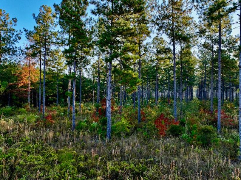 4495B4B0-9452-4BD9-B6C7-DC7C90EF4DD6_1_201_a