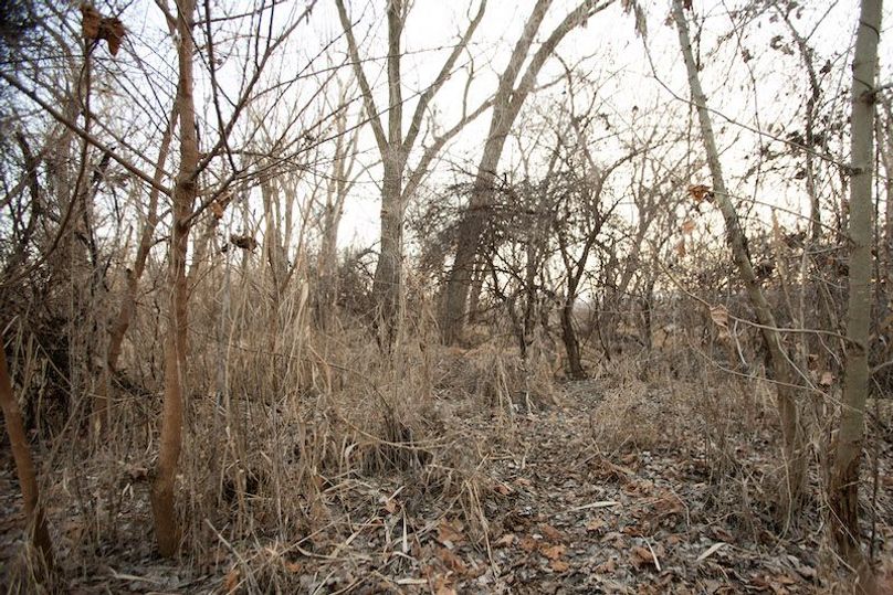 ATCHISON CO MO 56_56