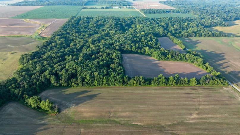 Copy of DJI_20250703173928_0036_D