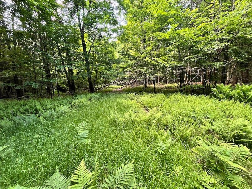 Jefferson_260.3_ Lobach_Photos_25