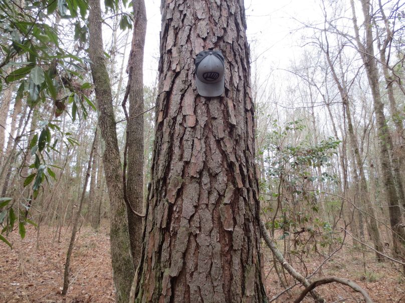 9D663ECA-3C2E-4ACB-A4CE-3C40C1DB1FD2