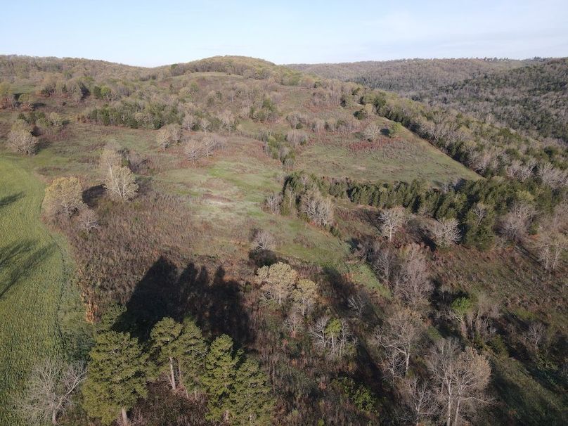 DJI_0415