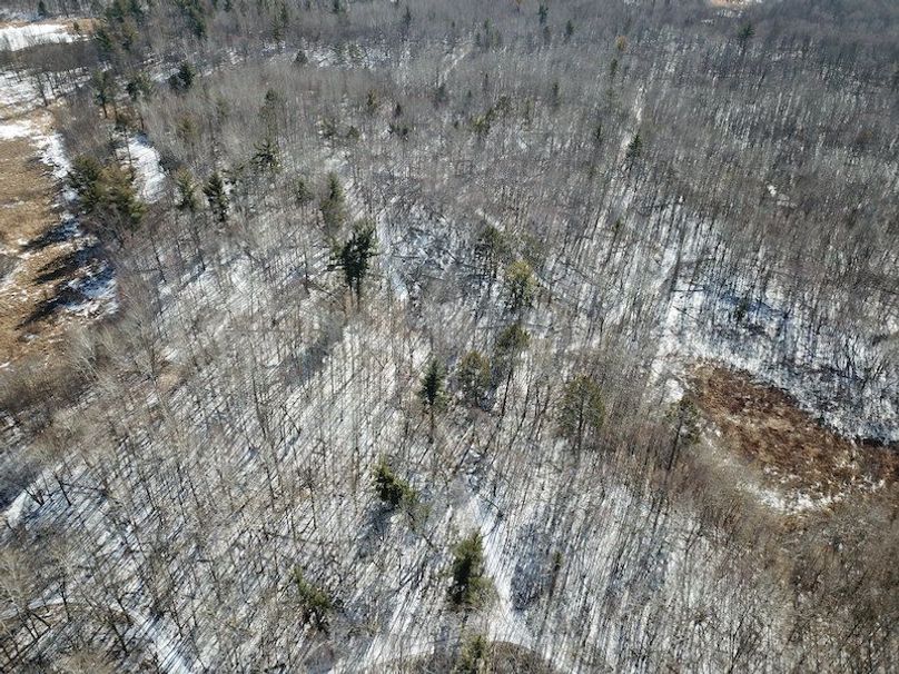 DJI_0011