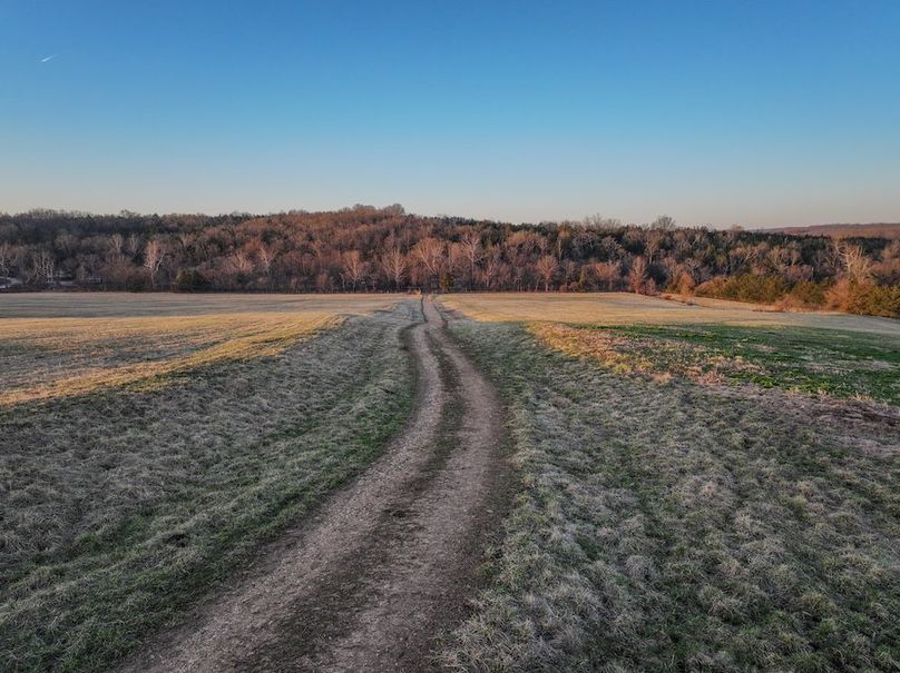 DJI_20250311074032_0155_D