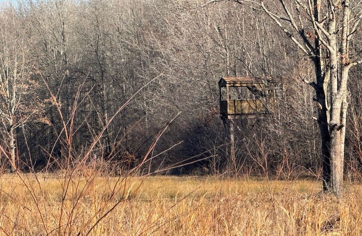 2 Hunting Cabin Stand