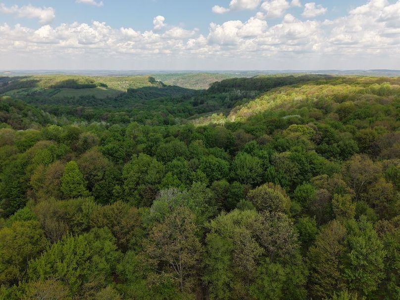 dji_fly_20260518_115800_0071_1779142047974_photo