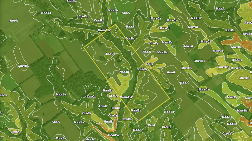 Screenshot 2026-06-03 205953