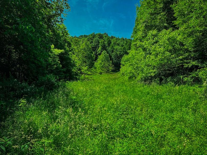 Doddridge, WV 64.69 AC Davis-36