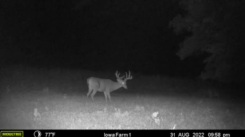 Screen Shot 2024-02-05 at 3.22.09 PM