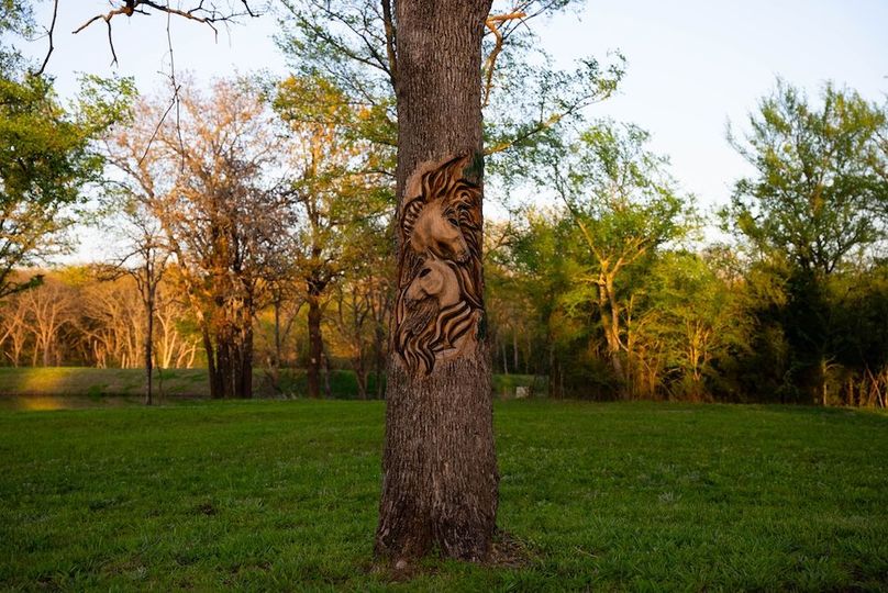 Okfuskee OK 615.38 Pro Photo-40