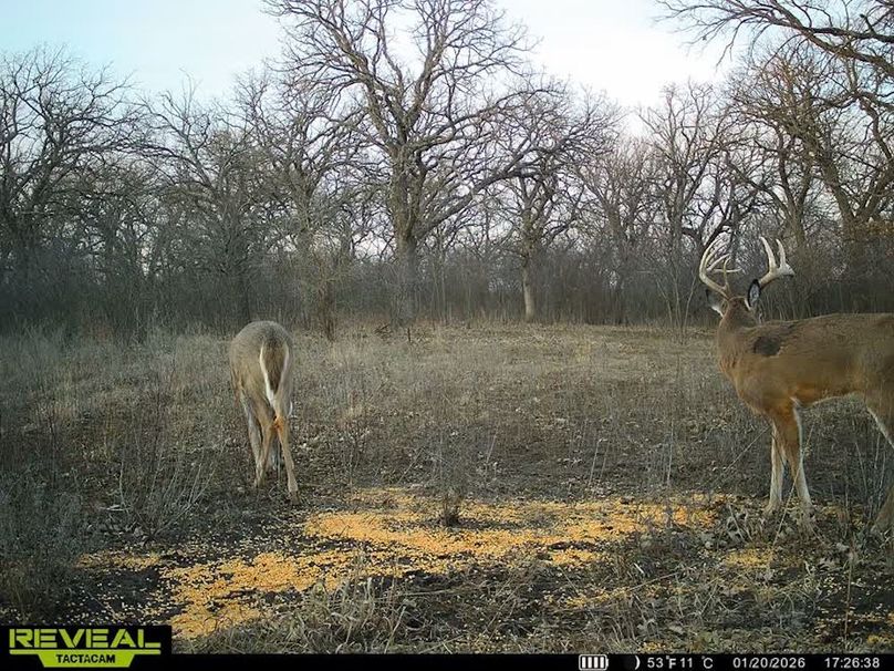 860322064077966-100-3-01202026172657-V-W1012131