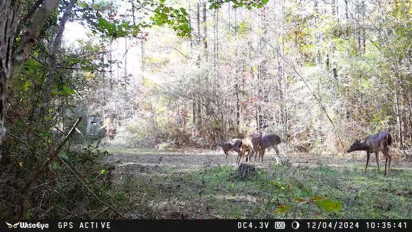 865509053774273_12042024103556-TH-E1000850