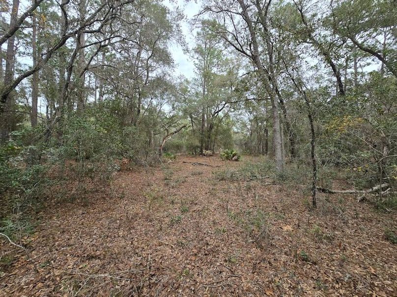 5ac, Marion, Andrew Goering14