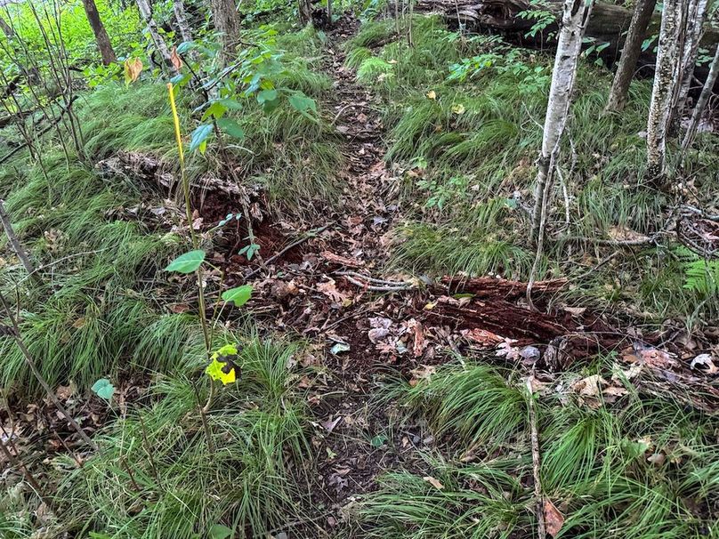 Pantzke Ground Photos-12