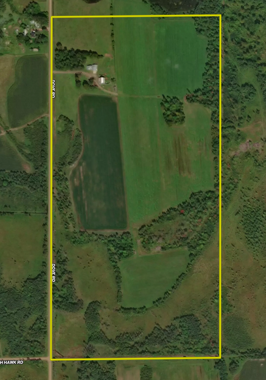 Screen Shot 2024-04-18 at 8.55.28 PM