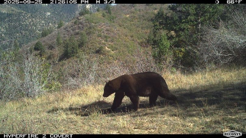 8C162BE2-A0AF-4EC3-9E89-4EF1E44257CB