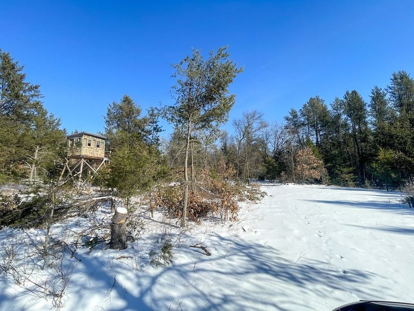 Adams 25, Nessler -30