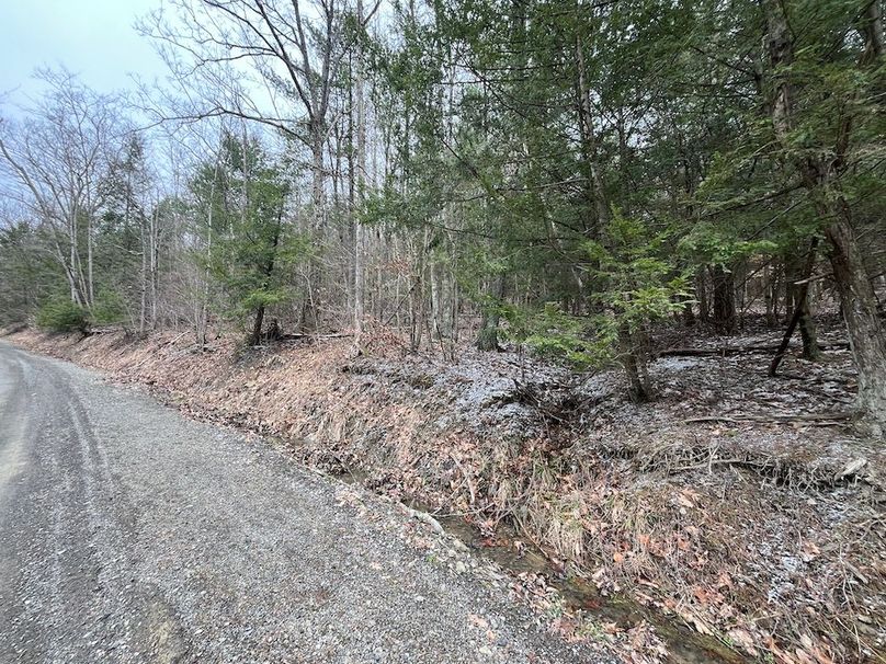 Chemung_17.45_Delsey Photo 20