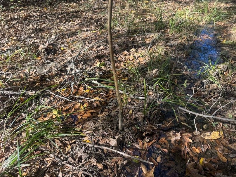 1a1 jeff 8320251111_0249