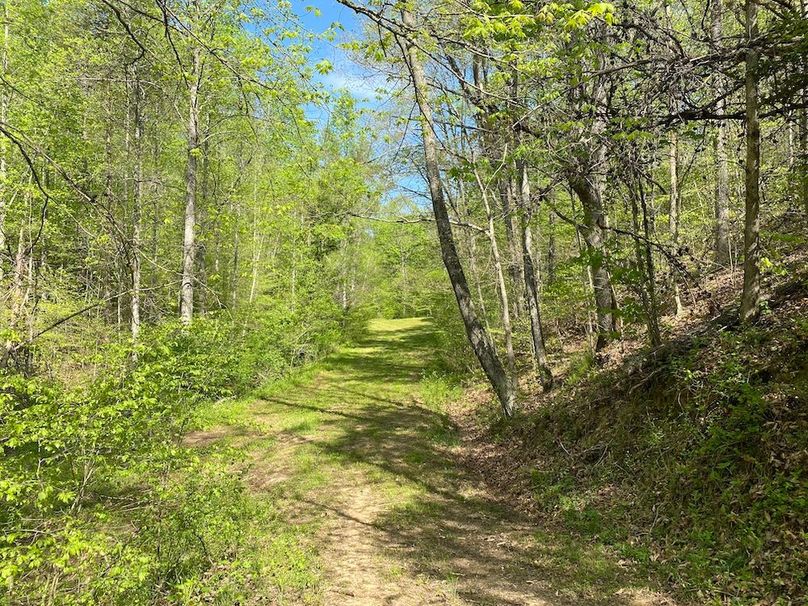 017 trail leading up the bottom of the valley copy