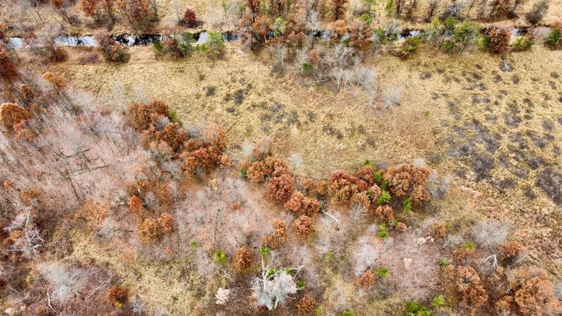 dji_fly_20231105_092738_753_1699198347457_photo_optimized 2