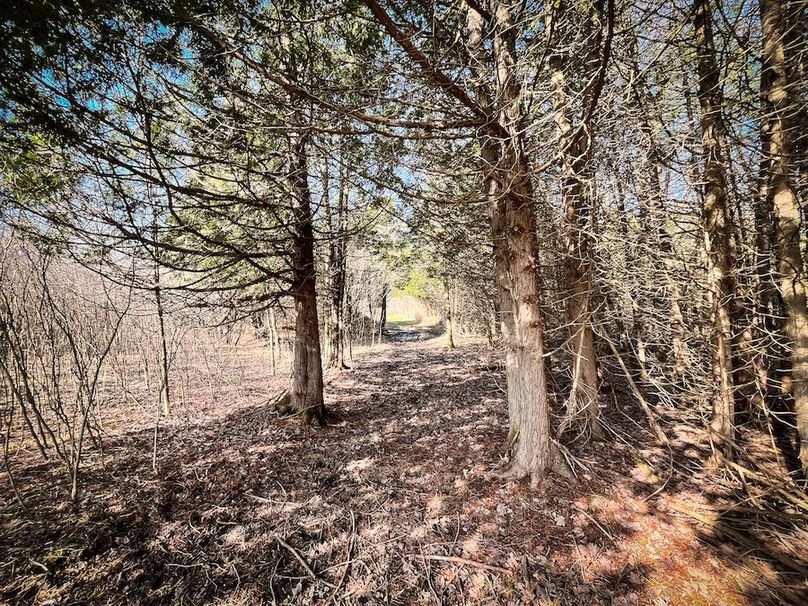 StLawrence_142.7_Bosse_Photos_28