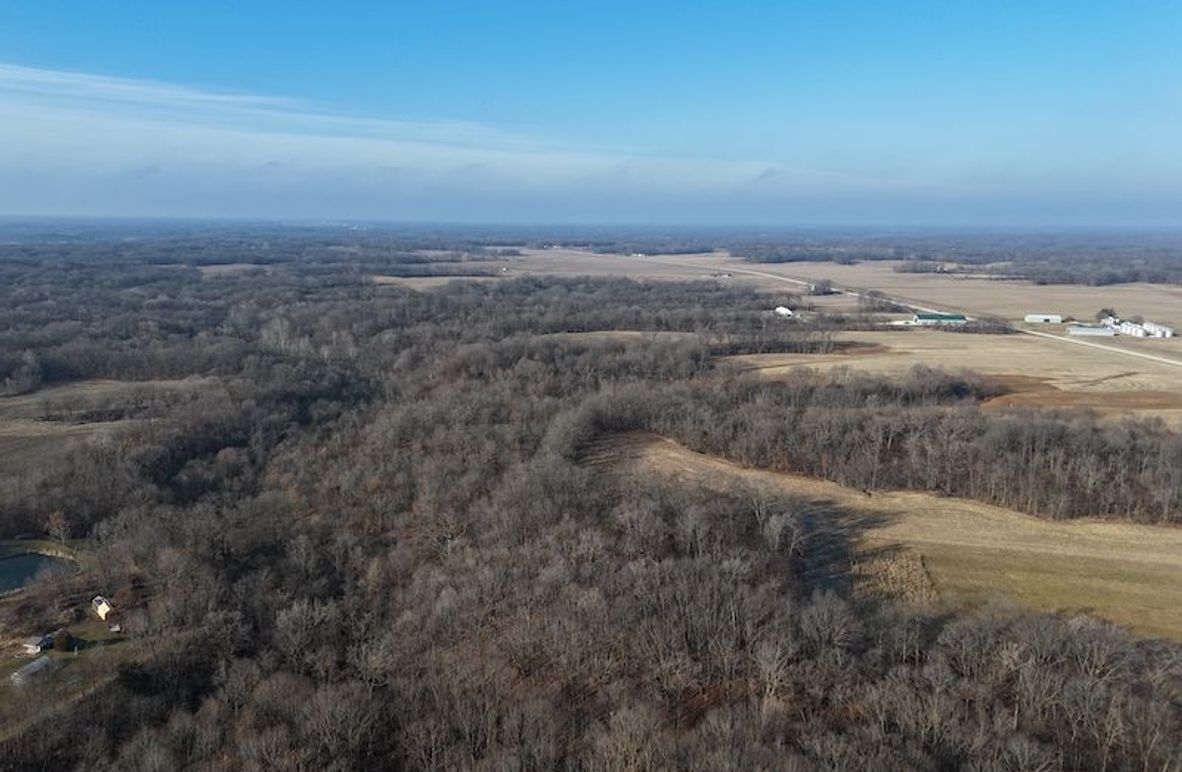 DJI_20240203091824_0119_D