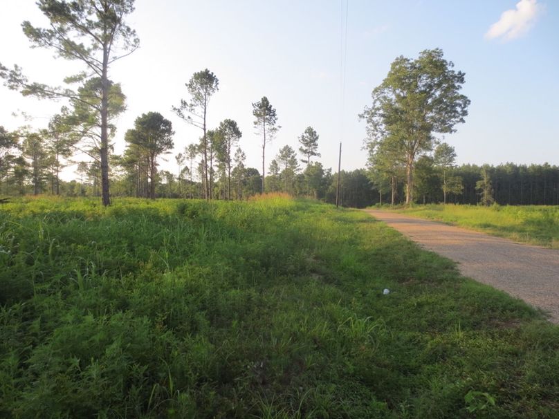 744FDABD-A0DB-4E3A-B58B-E814BC366B4D_1_105_c