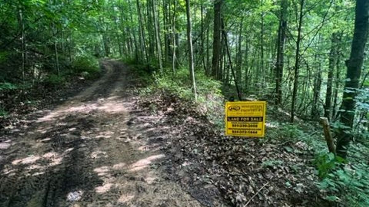 Remote Hunting Tract Perfect For A Weekend Getaway Or Cabin Whitetail
