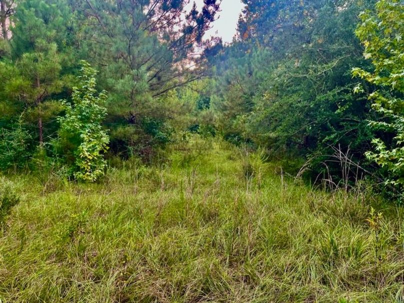 8C2443D7-0349-42DA-AF89-10C5628A4035_1_105_c