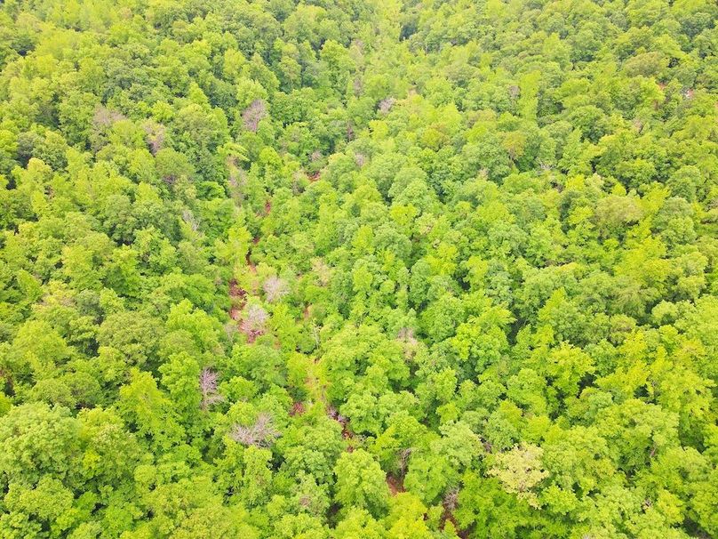 DJI_0344
