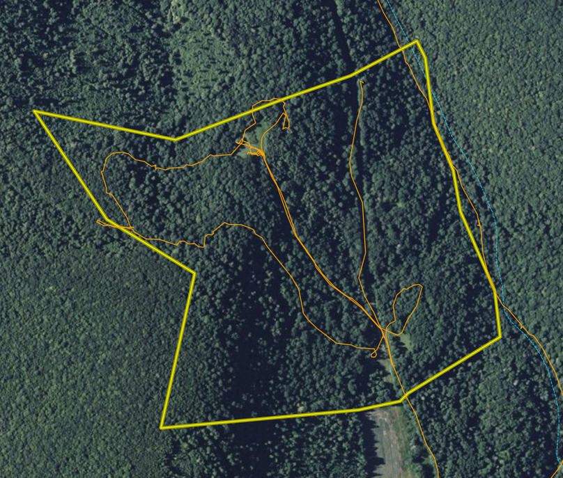 Screenshot 2025-08-27 at 11.26.13 AM