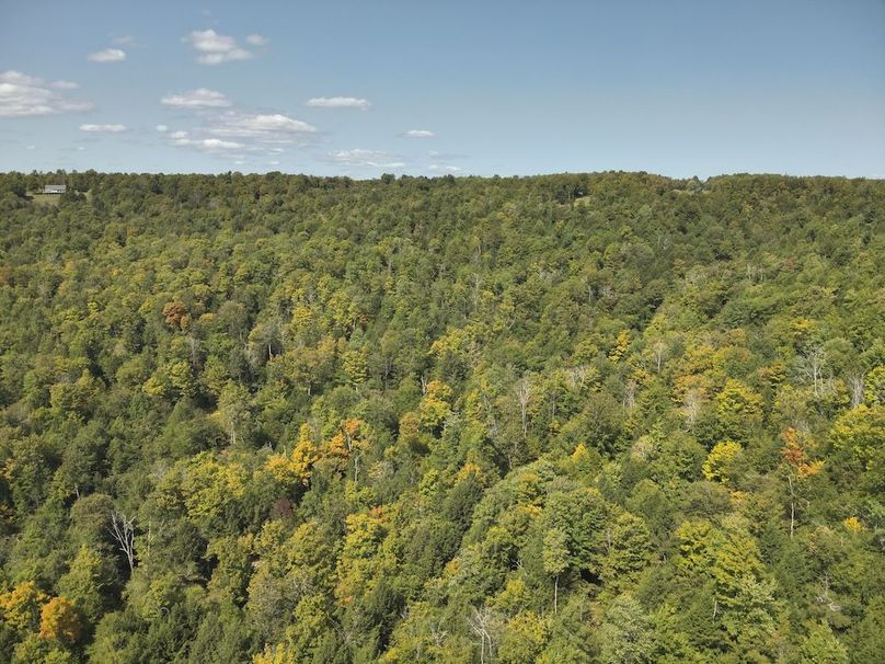 11 DJI_20250909131915_0003_V