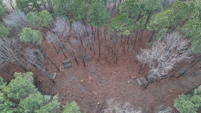 dji_fly_20260122_165934_0044_1769373199729_photo