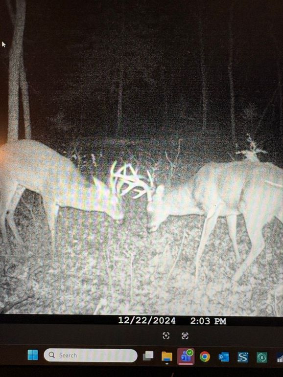 E64CD8D5-BDE6-4AE3-A072-B1698602D3CB