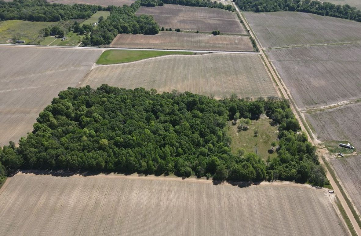 dji_fly_20250411_105652_528_1744387021110_photo