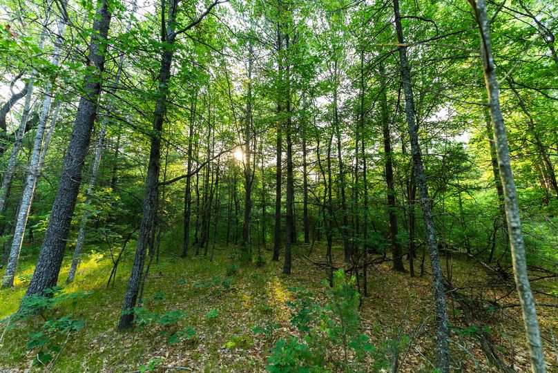 Ogemaw MI 475 Featured Pro Photo-01352