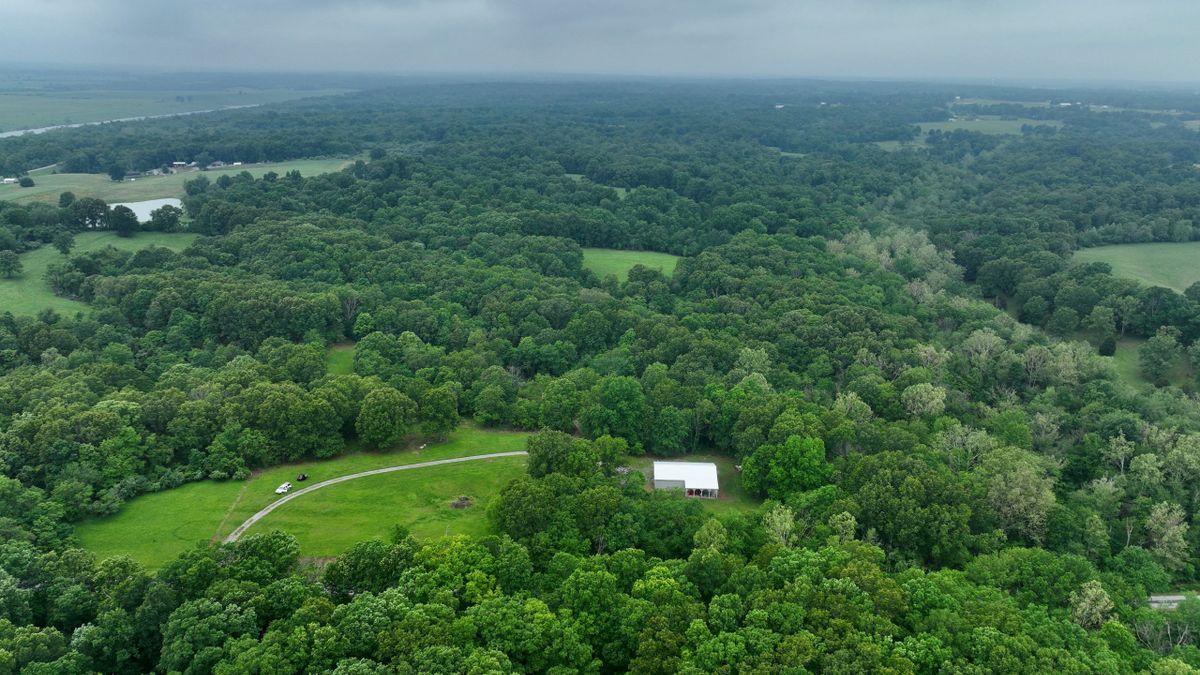 Dynamic Hunting Tract With Pole Barn For Sale Whitetail Properties