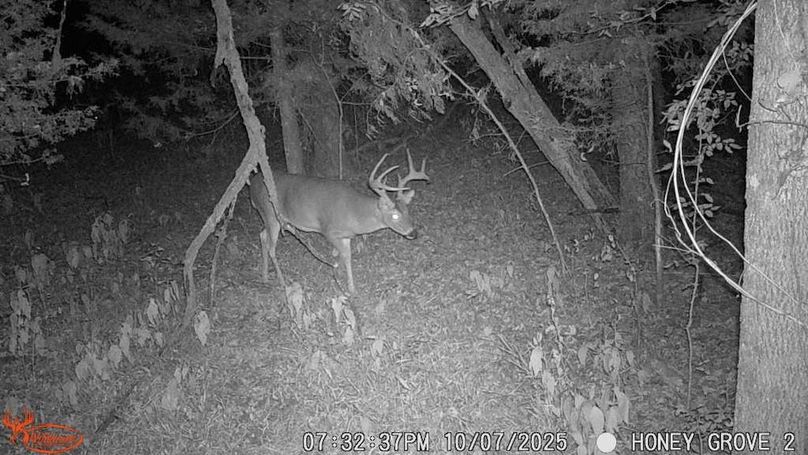 Lamar County- 93 acre reshoot (38 of 44