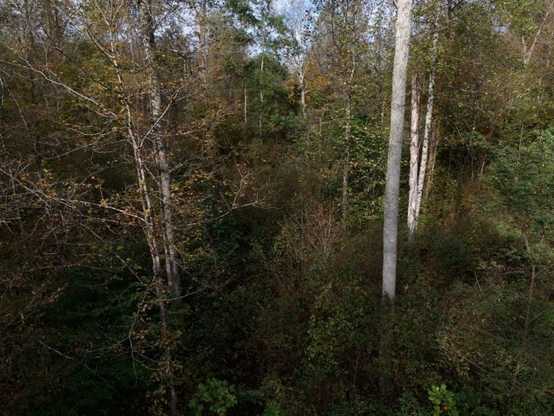 DJI_20250930144825_0009_D