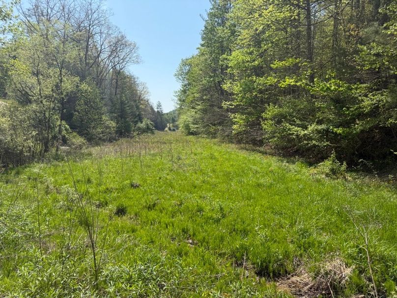 070 the field area along the stream in the middle of the property