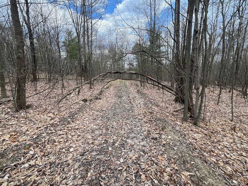 Chemung_100_Nye Photo 29