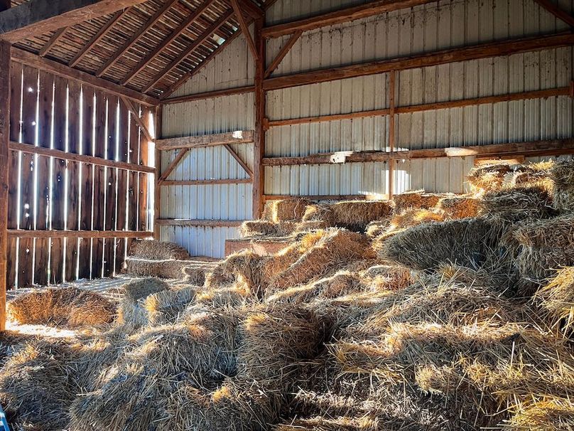 Copy of Wood Tract 2 Photo 12