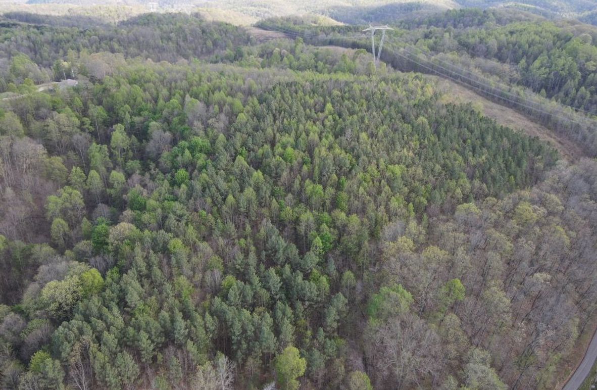 DJI_0874_W