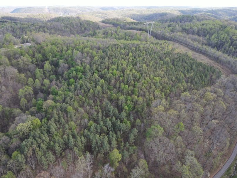 DJI_0874_W