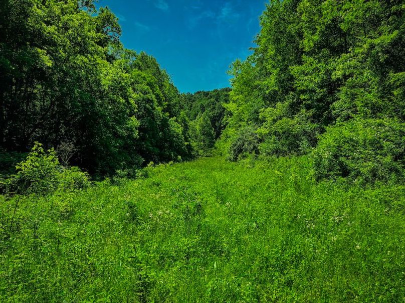 Doddridge, WV 64.69 AC Davis-35