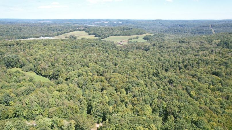 dji_fly_20240906_133422_592_1725645030657_photo