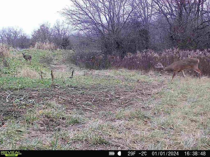 860322065287523-90-3-01012024163848-V-W1000350