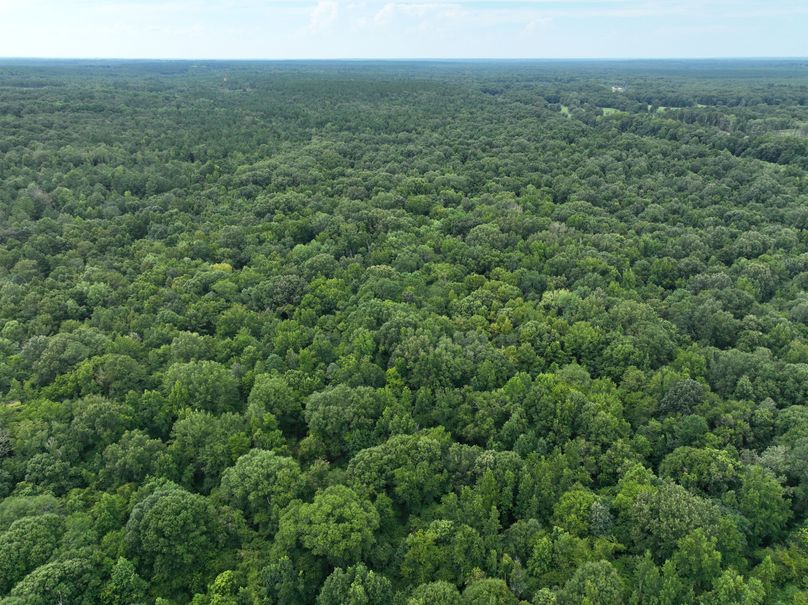 dji_fly_20230727_170324_397_1690507703210_photo 3